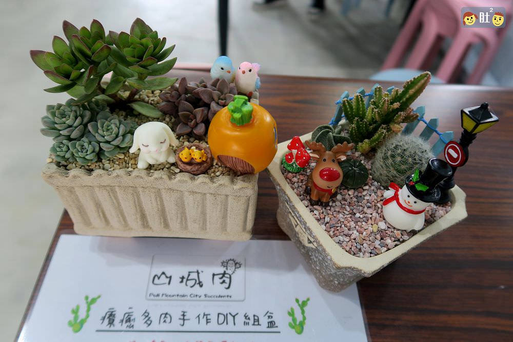 埔里景點》山城肉.18度c旁多肉組盆,親子手做DIY,組一盆美肉帶回家!!
