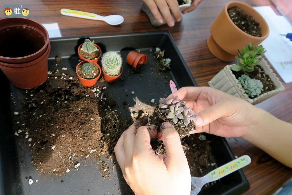 埔里景點》山城肉.18度c旁多肉組盆,親子手做DIY,組一盆美肉帶回家!!