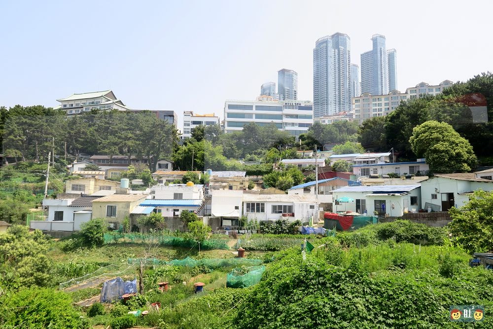 韓國釜山跟團Day3-1.電影大道、海雲台天空膠囊列車、絹豆腐.